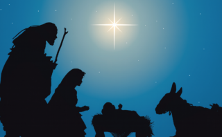 Invitation to Host a Free Lectio Divina Workshop: “Healed by His Wounds”